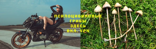 стаф Алексеевка