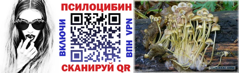 продажа наркотиков  кракен вход  Галлюциногенные грибы мицелий  Арамиль 